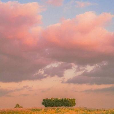 足球赌注软件app下载