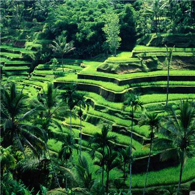 加拿大pc入口app下载