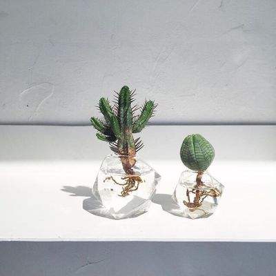 博鱼(boyu)·体育截图