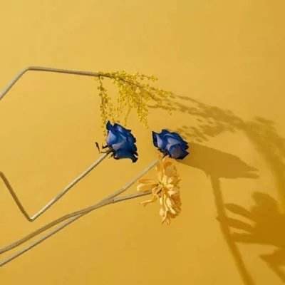 中欧体育app最新版下载